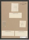 Amphora exsecta Grun. (de-Toni-Nr.: Genus 36, Species 1601) Zeichnungen Sammlung Grunow Nr. 3073 (NHMW-BOT-W0370476)